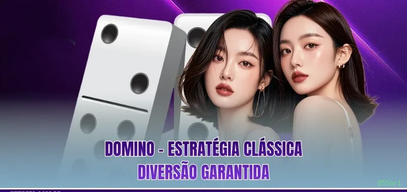 Login rápido no app 855brl